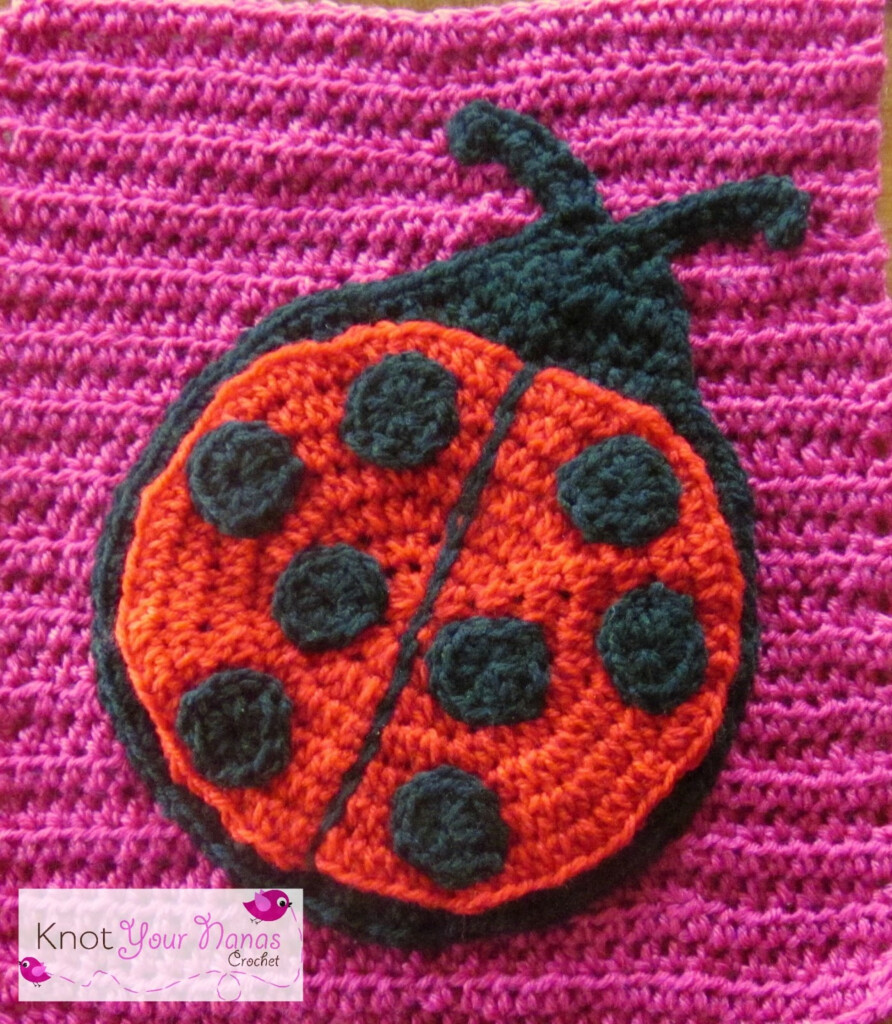56 LADYBUG BABY BLANKET CROCHET PATTERN - Crochet Ladybug Blanket Pattern