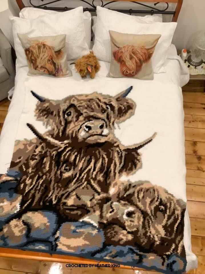 Highland Cow Crochet Blanket Pattern Pattern rjuuc edu np - Highland Cow Crochet Blanket Pattern