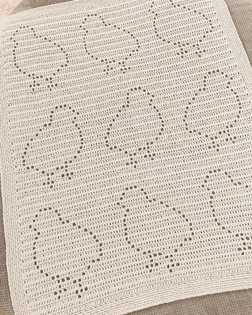 Sheldon Blanket Filet Crochet Pattern Chickens Owl B Hooked  - Young Sheldon Crochet Blanket Pattern