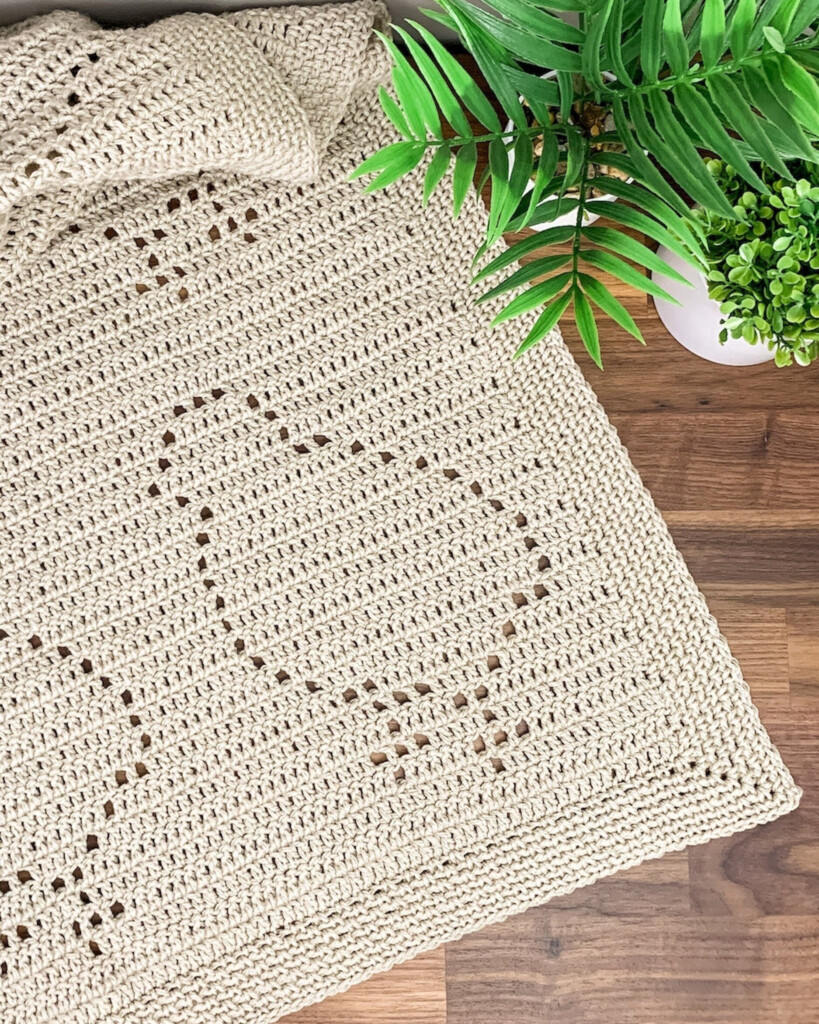 Sheldon Blanket Filet Crochet Pattern Chickens Owl B Hooked  - Young Sheldon Crochet Blanket Pattern