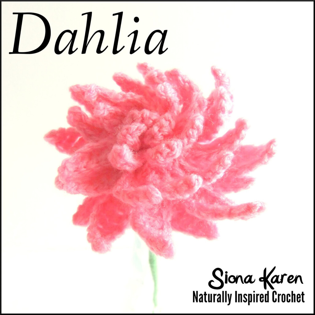 Siona Karen Crochet Pattern Dahlia - Dahlia Crochet Blanket Pattern